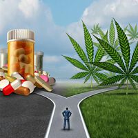 Cannabinoide als Alternative in der Schmerztherapie?