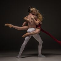 tamed spezial: Tanzmedizinische Tage 2017