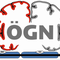 Schmerzakademie der ÖGN und ÖGPP Modul 2