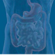 Update Gastroenterologie-Stoffwechsel 2019