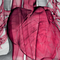 22. Kardiologie-Kongress Innsbruck