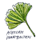 Achtsamkeitstraining: Mindfulness Based Stress Reduction-Kurs