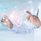 23. Kardiologie-Kongress: COVID-19 im Zentrum