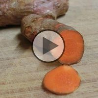 Ernährung während der Chemotherapie (Videobeitrag)