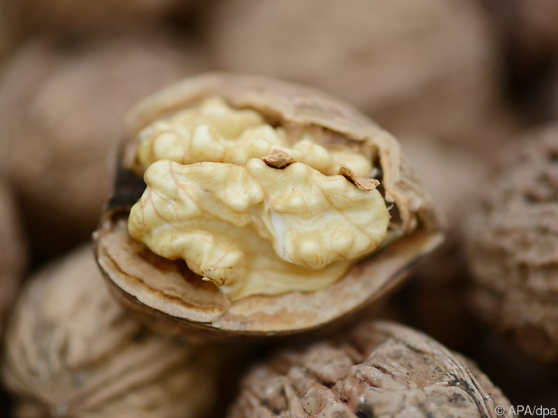 Nussallergie: Nicht jede Nuss schadet