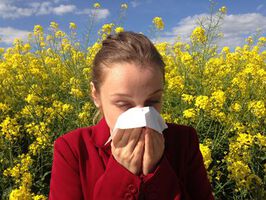 Weibliche Sexualhormone erhöhen das Allergie-Risiko