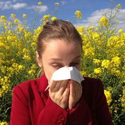 Weibliche Sexualhormone erhöhen das Allergie-Risiko