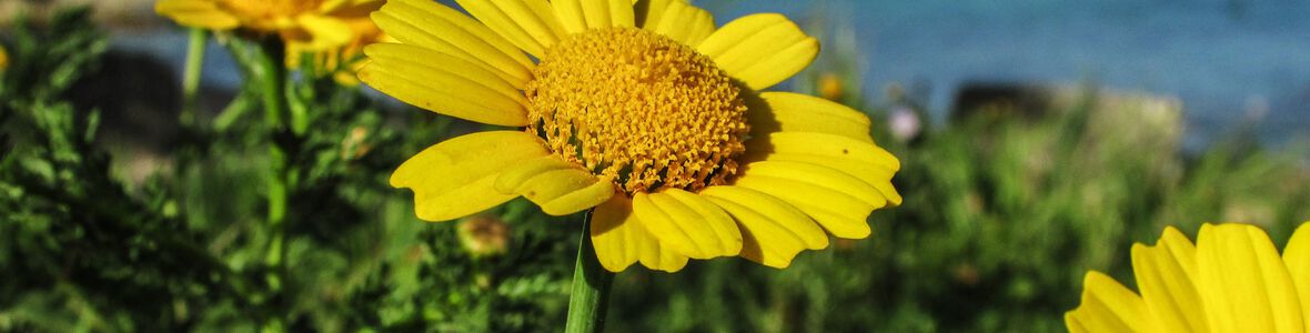 Die Outdoorzeit beginnt - Homöopathie bei der Behandlung von Sportverletzungen