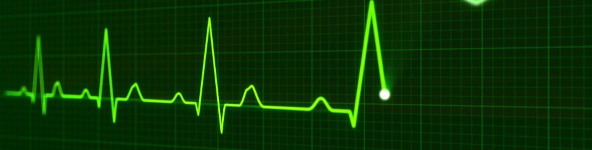 Zinkstatus essentiell für Herzmuskelaktivität