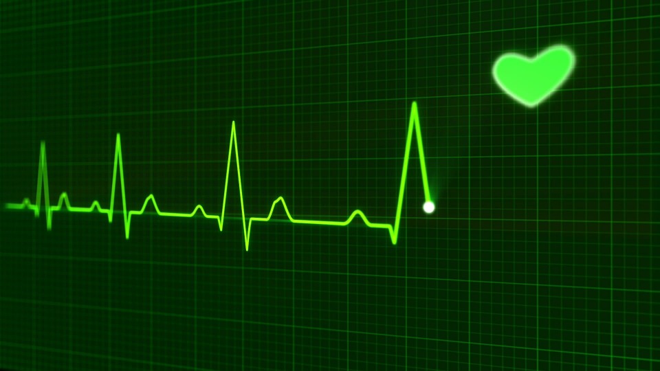 Zinkstatus essentiell für Herzmuskelaktivität
