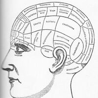 Korrelation von Pallästhesie und posturaler Kontrolle bei Personen mit Parkinsonsyndrom