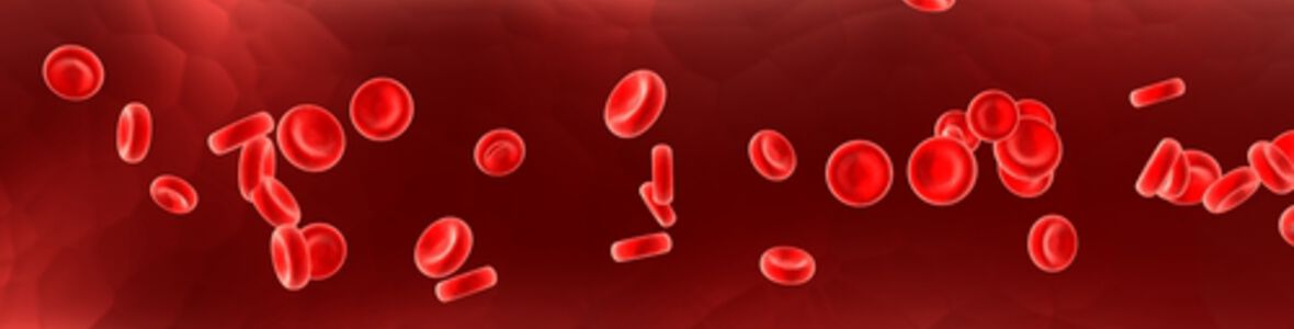 Autoimmunerkrankungen mit synthetischem Zucker bekämpfen