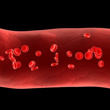 Autoimmunerkrankungen mit synthetischem Zucker bekämpfen