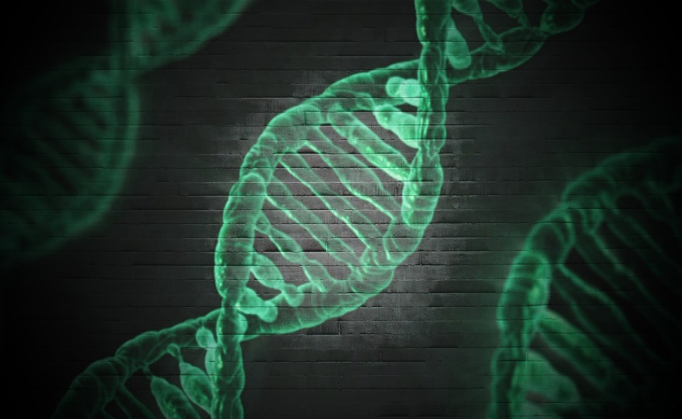 Art der SCN2A-Mutation essentiell für Therapie bei kindlicher Epilepsie