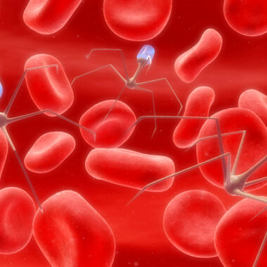 Neuer Biosensor überwacht Medikamente im Blut