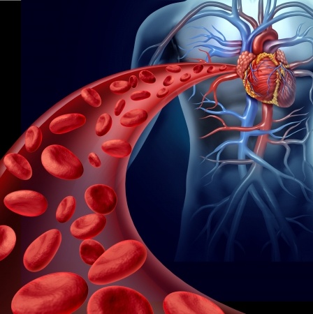 Arteriosklerose – Vorsorge