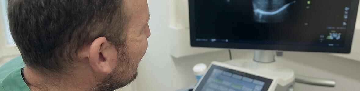 Chronische Hepatitis (Video)