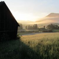 Wie gut die Natur gegen Stress hilft