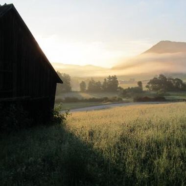Wie gut die Natur gegen Stress hilft