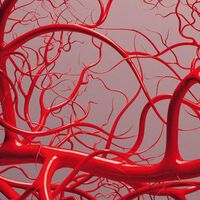 Physikalische Gefäßtherapie BEMER - Das Gesundheits-Plus für Arbeitnehmer