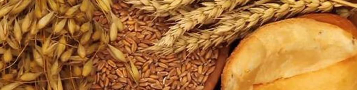 Zöliakie: Frühkindliche Infektionen erhöhen das Glutenunverträglichkeit-Risiko