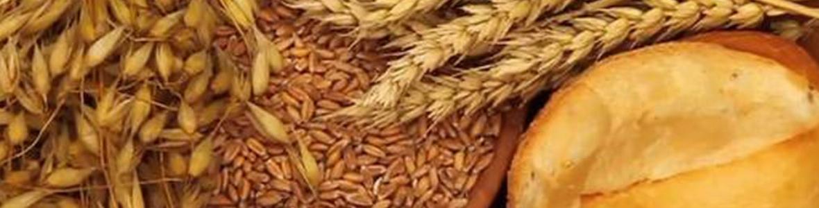 Zöliakie: Frühkindliche Infektionen erhöhen das Glutenunverträglichkeit-Risiko