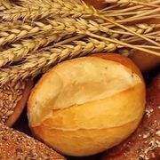 Zöliakie: Frühkindliche Infektionen erhöhen das Glutenunverträglichkeit-Risiko