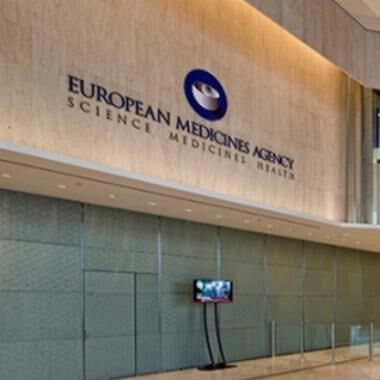 Arzneimittelagentur EMA - Kern: Österreichs Bewerbung ist erstklassig