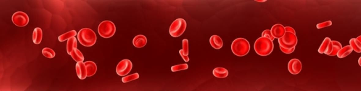 Cholesterin entscheidend für Herzgesundheit