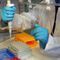 Vakzine gegen Ebola, HIV und zur Behandlung von HPV-Infektionen