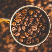 Bitterstoff-Rezeptoren im Magen schmecken Koffein