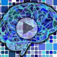 Please note our Online Press Conference - stroke prevention
