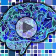 Please note our Online Press Conference - stroke prevention