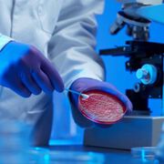 Erstmals fettlösliche Arsenverbindungen in Muttermilch nachgewiesen
