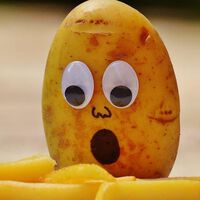 Acrylamid: Landwirtschaftsminister Rupprechter gegen die neue "Pommes-Verordnung" der EU