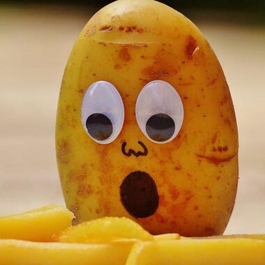 Acrylamid: Landwirtschaftsminister Rupprechter gegen die neue "Pommes-Verordnung" der EU