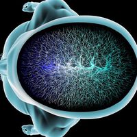 Potenzieller Biomarker zur Klassifizierung eines bösartigen Hirntumors bei Kindern gefunden