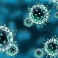 Immuntherapie: wie sich Krebszellen gegen die Immunzellen wehren