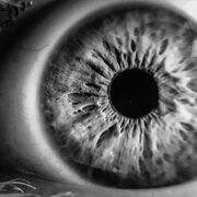 Trockene Augen mit Magenschleim behandeln