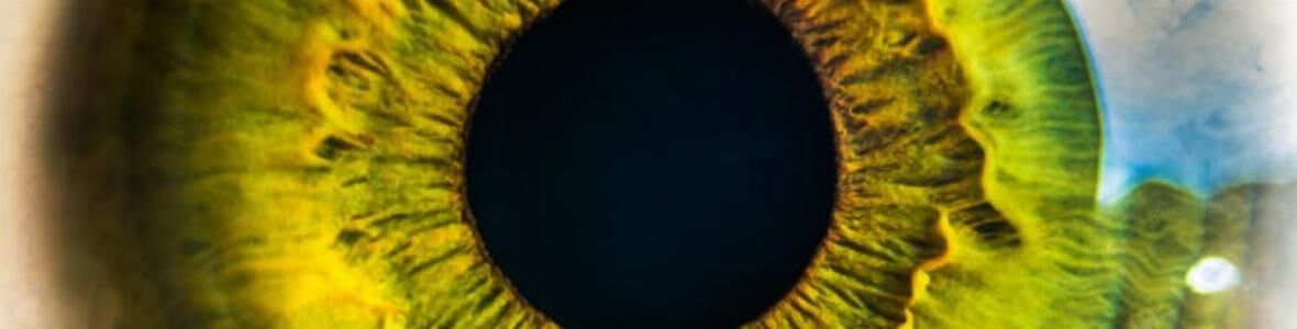 Neue OCT-Technik ermöglicht bessere 3D-Darstellung der zellulären Struktur im Auge