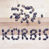 Kürbiskerne gut für Blase & Prostata