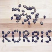 Kürbiskerne gut für Blase & Prostata