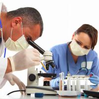 Eiweißstoff auf Oberfläche von Krebszellen hilft Immunsystem zu blockieren
