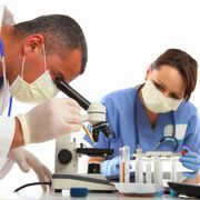 Eiweißstoff auf Oberfläche von Krebszellen hilft Immunsystem zu blockieren