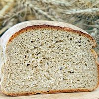 Glutenfreie Ernährung immer noch im Trend: Studie zeigt keine Vorteile