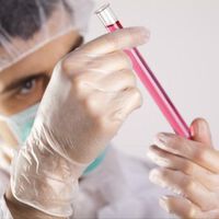 Höchstrisikopatienten: Körpereigener Biomarker proBNP gibt Hinweis auf Sterberisiko