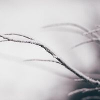 Kalte Temperaturen als ein Herzinfarkt-Trigger