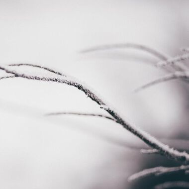 Kalte Temperaturen als ein Herzinfarkt-Trigger