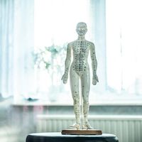 14. Internationaler TCM-Kongress TAO - Video