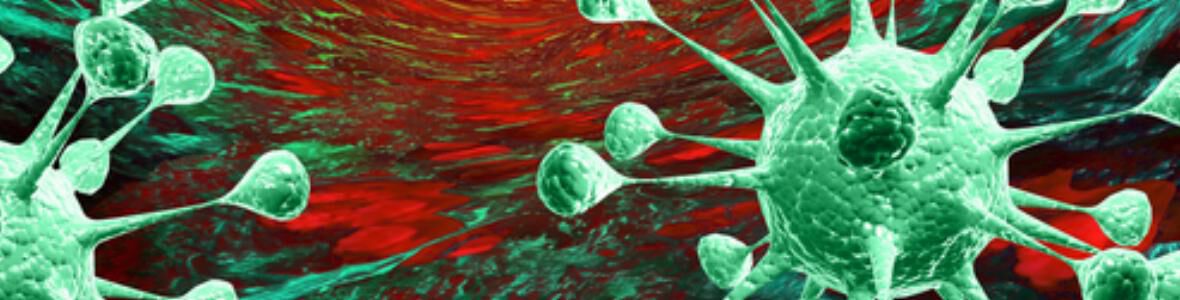 Krebs: Lymphgefäße unterstützen die Therapie